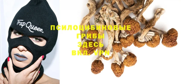 Альфа ПВП Баксан