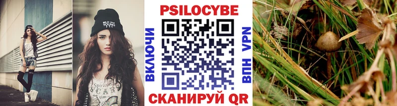 Псилоцибиновые грибы GOLDEN TEACHER  Берёзовский 